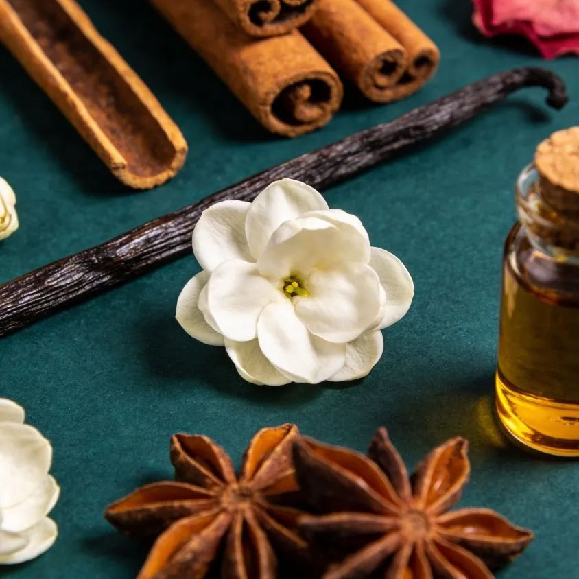 A gardenia bloom among vanilla pods, cinnamon and star anise beside a vial of amber fragrance oil